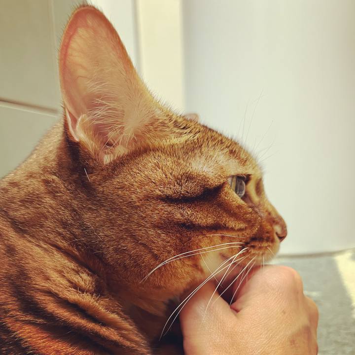 6aa25e48 4dfe 4b11 b8f6 213332b84e5e 1635981022287