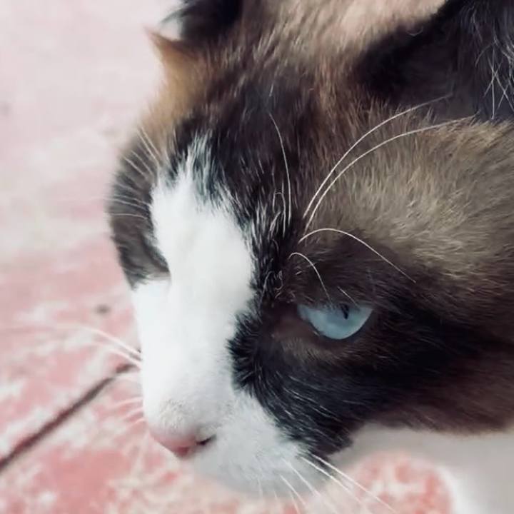 6aa26562 204e 472b b24f 94d80c0773b5 1754447670551