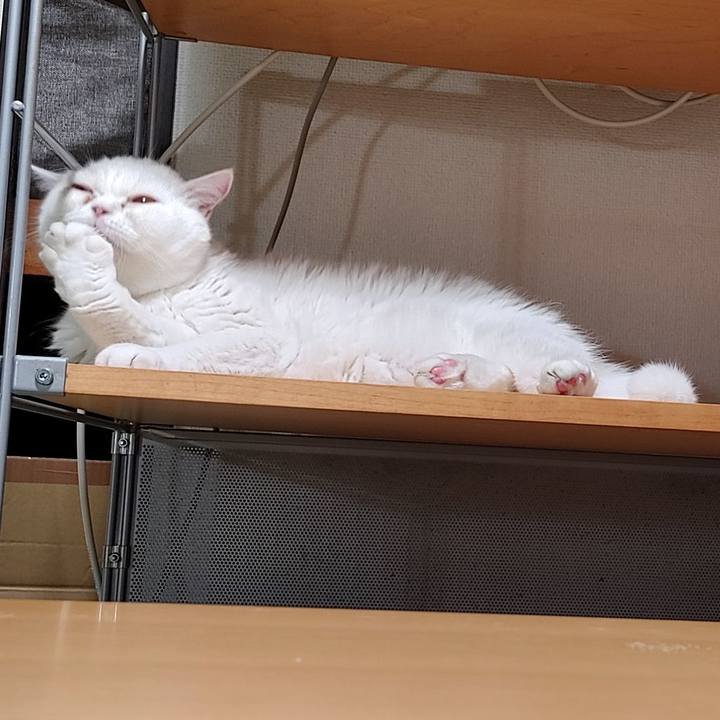 6aa2ba58 1c52 4e0b 8e20 4014b6440ed5 1635590539253