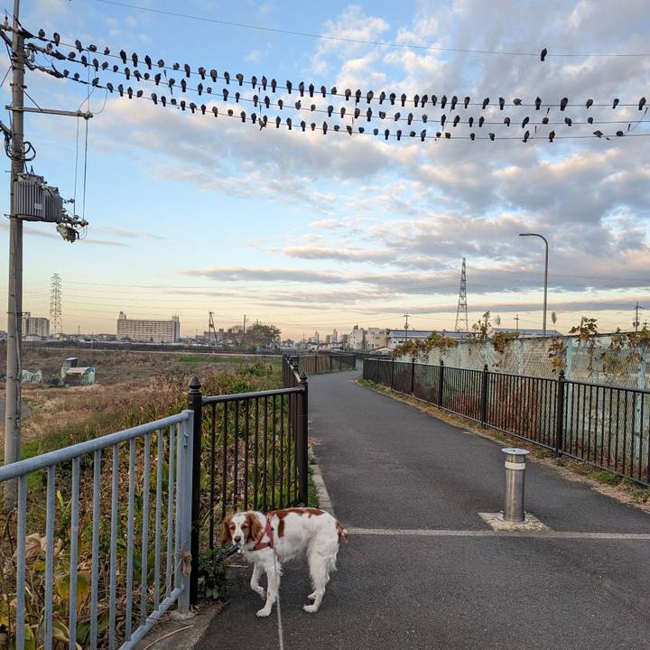 6aa3118c ca9d 43bd 96d1 9ba89229287b 1639958368638