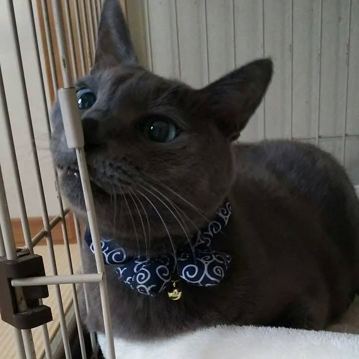 6aa33153 dbd8 4323 a7d0 6ba9f732ab81 1569554699290