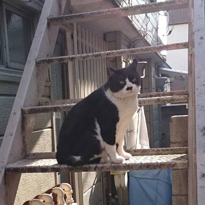 6aa38eee e44b 4a6f 87c0 4861b0e3eec1 1521083797636