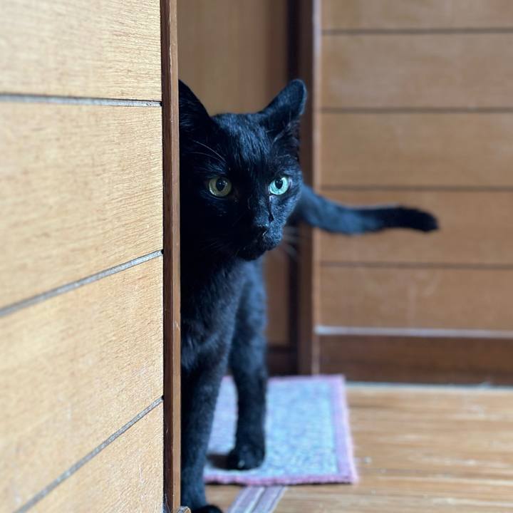 6aa39cac 3db2 4222 9668 7be6ed034b77 1688342963423