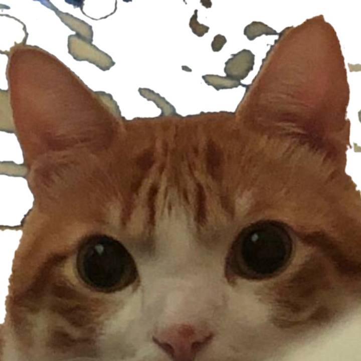 6aa42143 fca9 4f43 8d94 718d394a9998 1551709564343