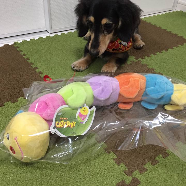 6aa46da2 8655 47c9 b0e6 94a98de0eed6 1514164834409