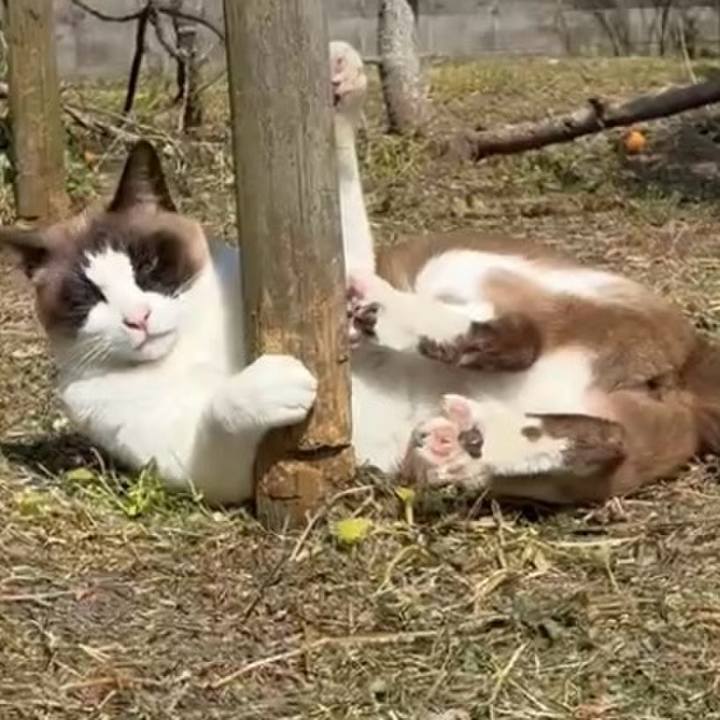 6aa48cdb 67da 451b a145 9309b8ee6cb8 1774235833010