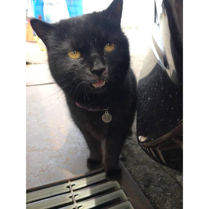 6aa4b0e1 8be6 4bd1 9245 3d5d28741792 1744940546057