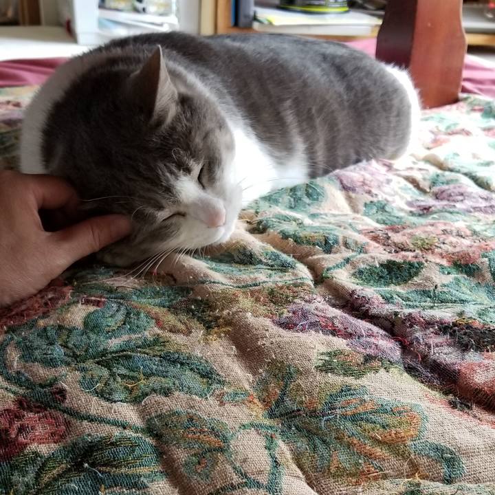 6aa5045f d174 4ffe 9167 55a91613bae6 1591316832672