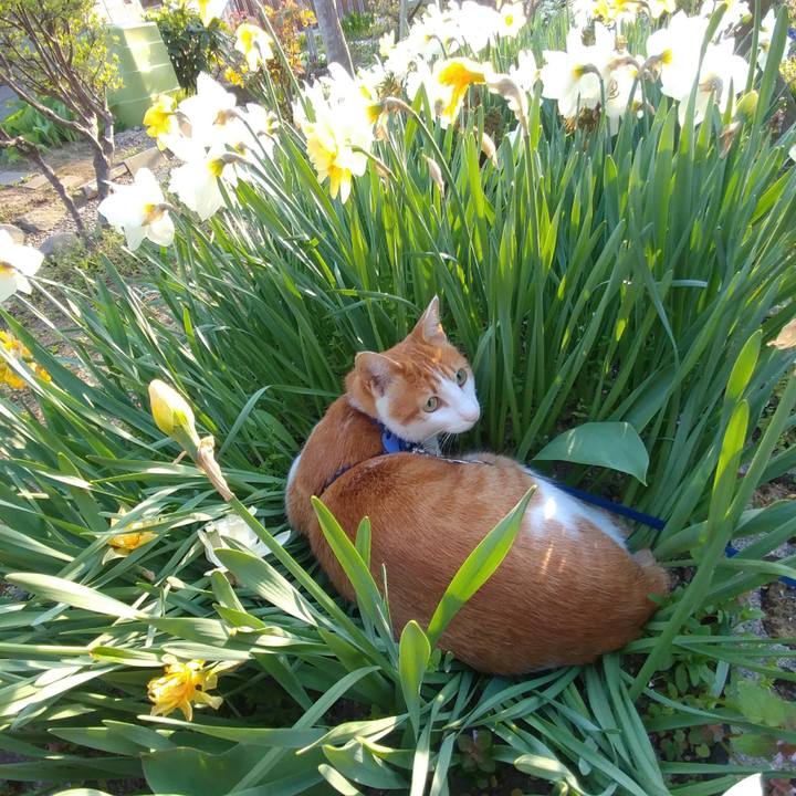 6aa51948 aacf 4d6f aa5f 877718f8c044 1524872663452