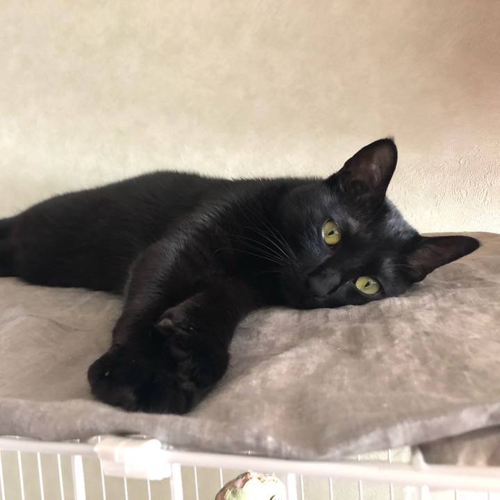 6aa53f18 7546 4408 8fc6 63b8853dc9e2 1557639409532