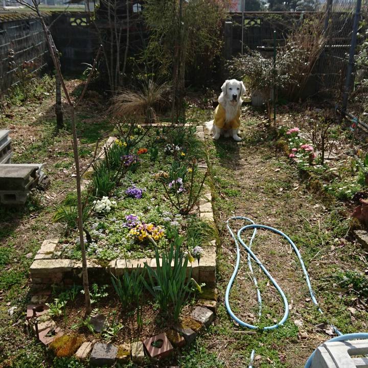 6aa549d5 e1ae 44ec 9b6d 3b90e114f2db 1552129574042