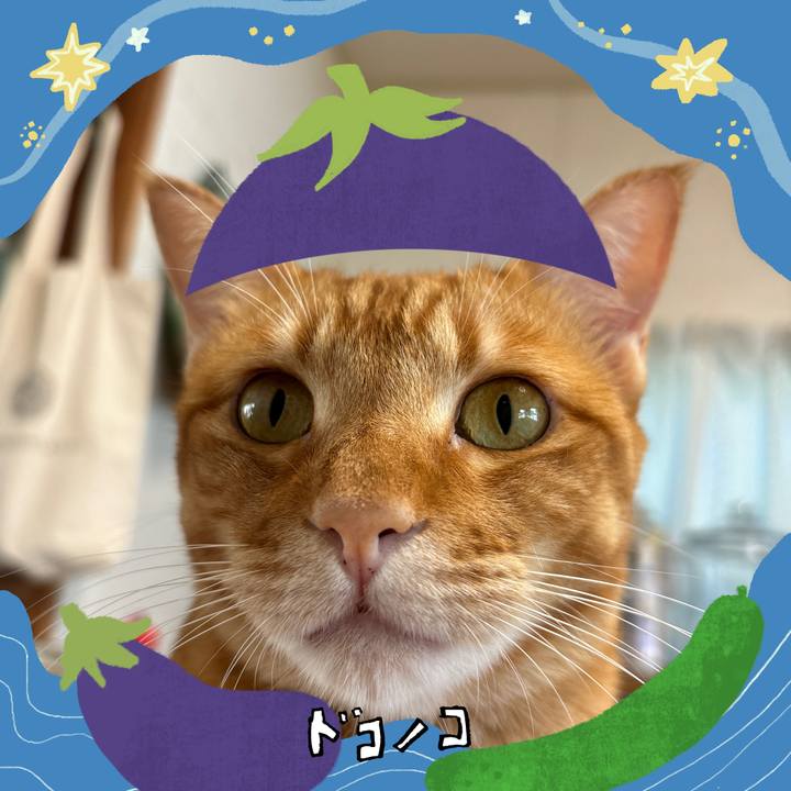 6aa582a4 fd3a 4db6 81d4 cd48646a9c70 1755130797591