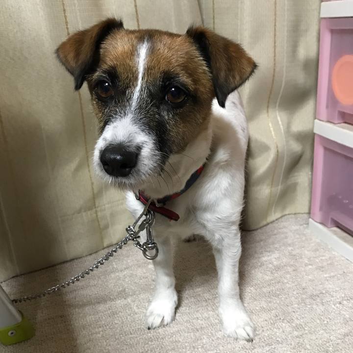 6aa5a17c 1c62 46a5 adb9 40c85ddf0286 1511348173734