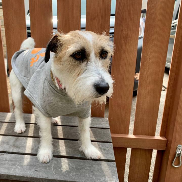 6aa5c682 81fe 4b56 91e8 4a6715e1b672 1684714690426