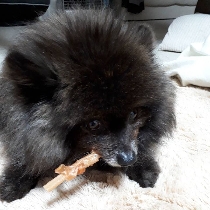 6aa5f384 0d6d 4050 bf4a c69598fad95a 1520876803558