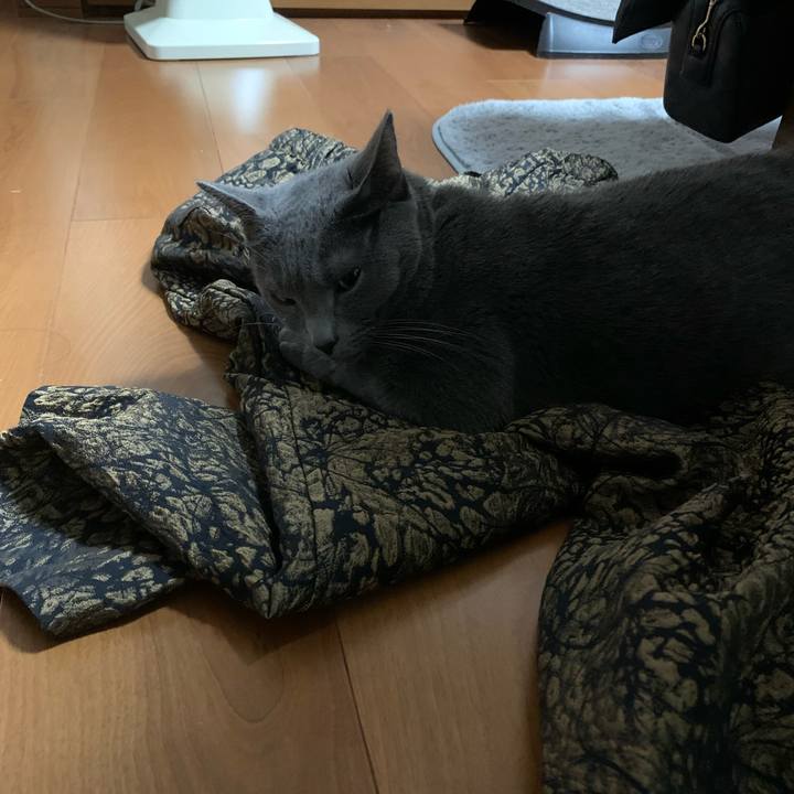 6aa5f801 7606 4556 928f a2ff76044f2b 1671101923820