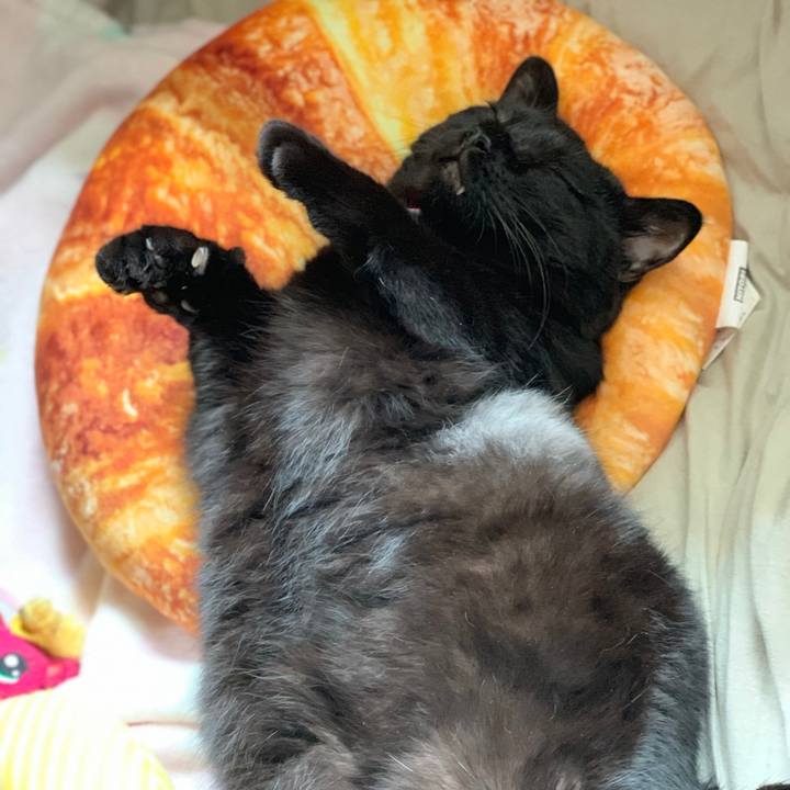 6aa61c6d 154c 49e7 b6a7 8830ec27cf1a 1563514191005