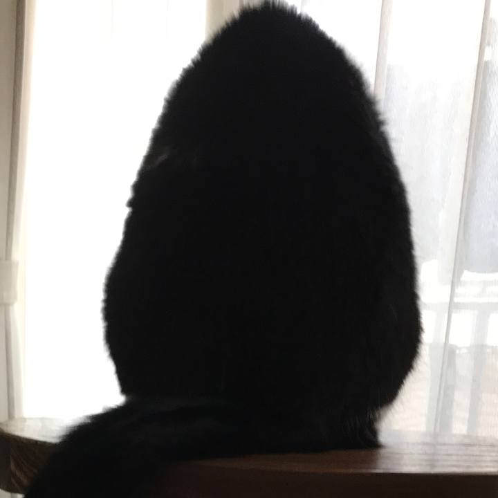 6aa6cdef 626c 451e 95fc 50ea30550f37 1510011124321