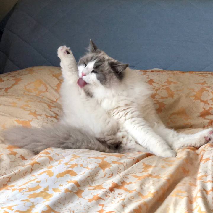 6aa72941 1ce3 4989 9b53 b93e25515ea2 1584154119236