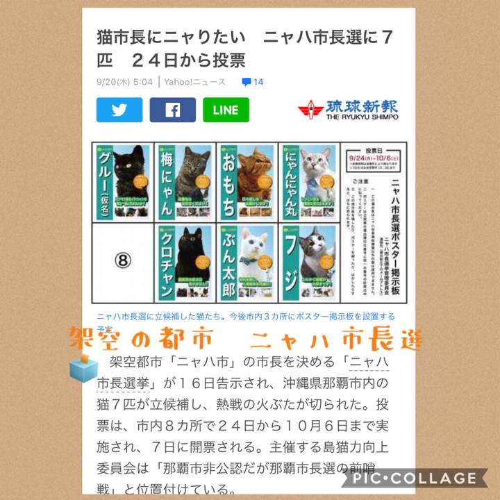 6aa75c31 4dea 46ac 9104 c63cff53ddd5 1537430576425