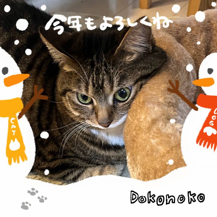 6aa761de 9533 4027 a9f4 20195e2e9cea 1704293065638