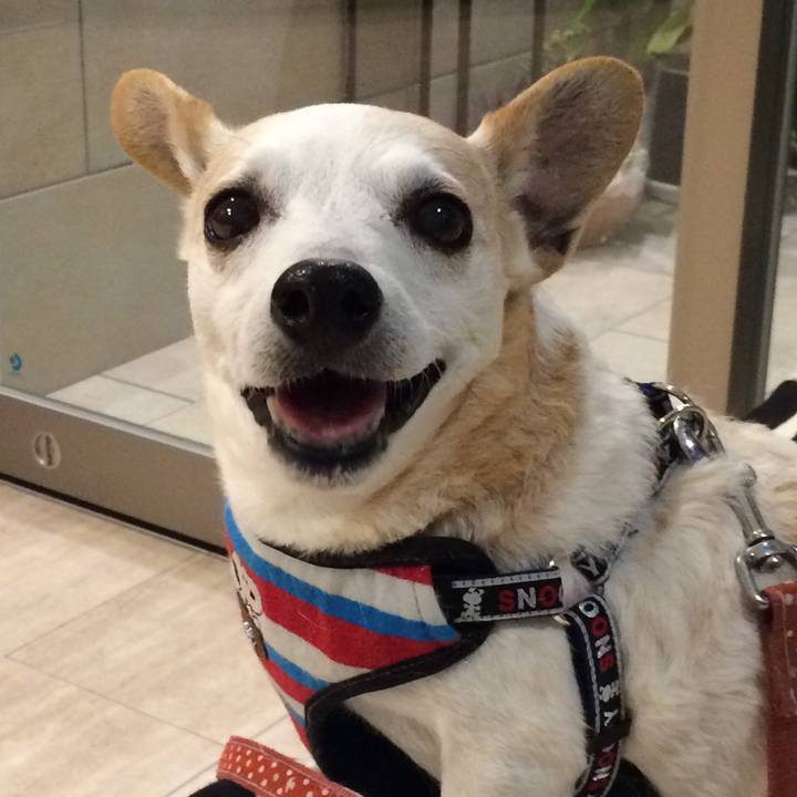 6aa76313 c550 4ff4 9bd9 fb69fb674e49 1559437325667