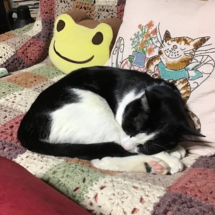 6aa7b6bb 4ebd 403a b92d ffefa09a258c 1643624963245