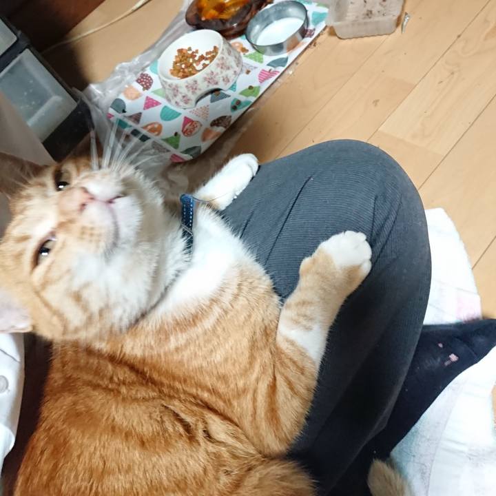 6aa7b95a e5f0 4bd8 a5de 7573f9edc63b 1601542684006