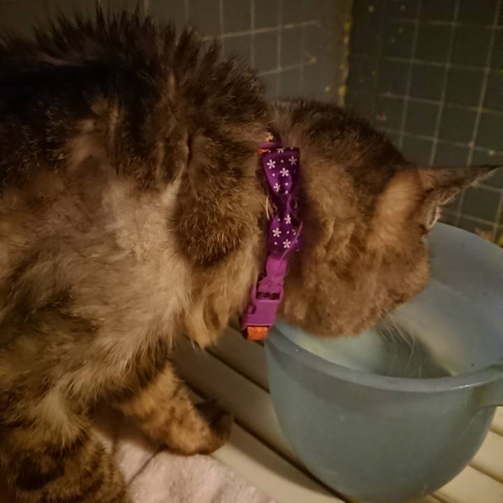 6aa7e24a 0059 439b b43b 45e406e1f290 1594981885652