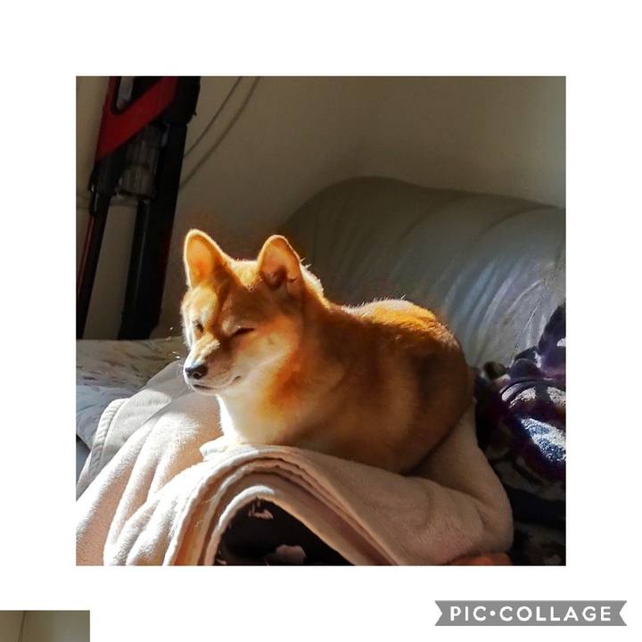 6aa7ec70 29d6 40a3 897e 1b34918b358a 1668475090387