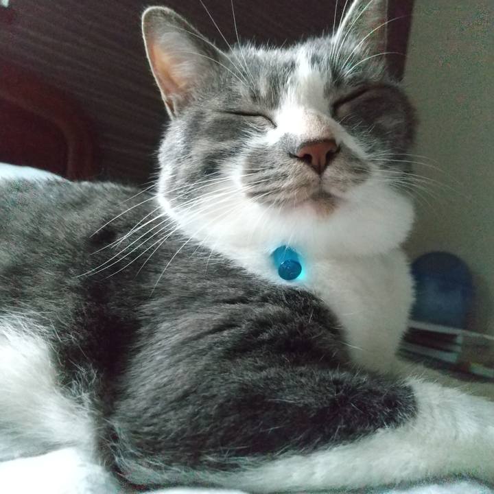 6aa7eefc bd3d 4a80 b51d 9fae03dc722a 1625739452249