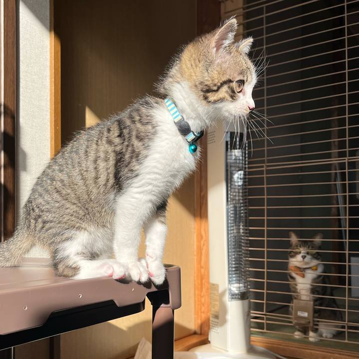 6aa807ba 03c1 4495 be2f 102a9e94c673 1767403619733