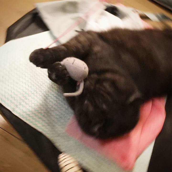 6aa8241e 121e 4fcf bc4a 535d37c3bcd4 1544105938239