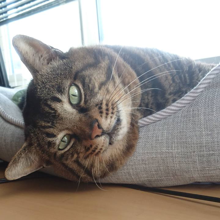 6aa832ab 8fb8 4197 821a acd2c614c3df 1532321628600