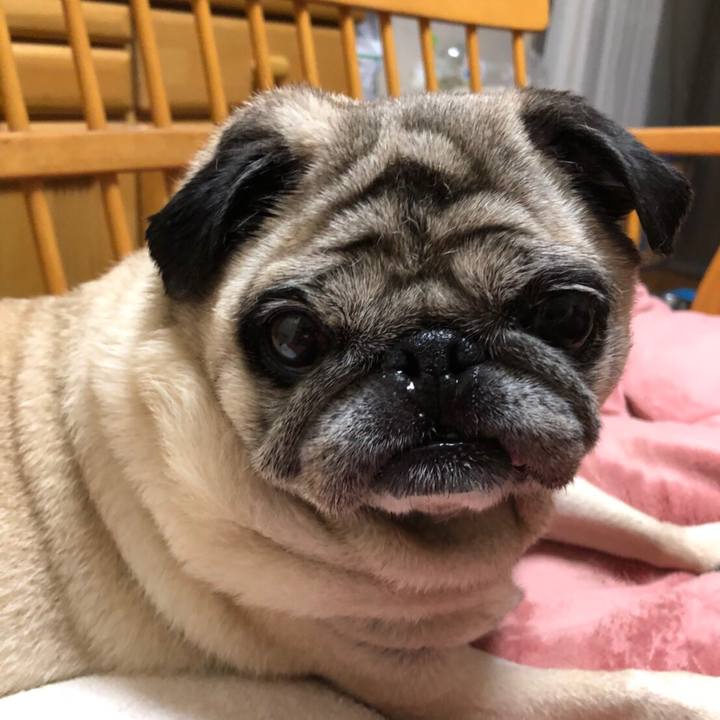 6aa837a7 e982 4304 a375 df6ee0188eb7 1529802086061