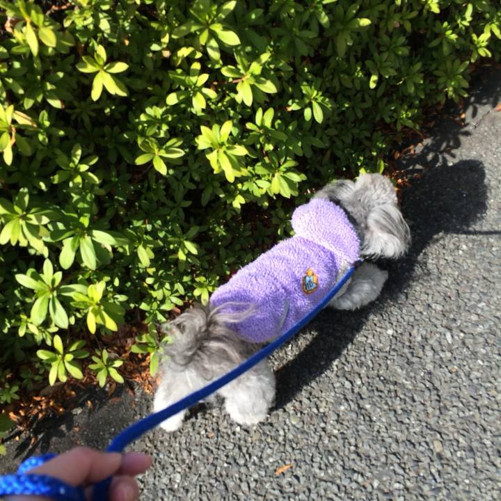 6aa83962 1718 4ebe 9633 300598368f99 1769645895241