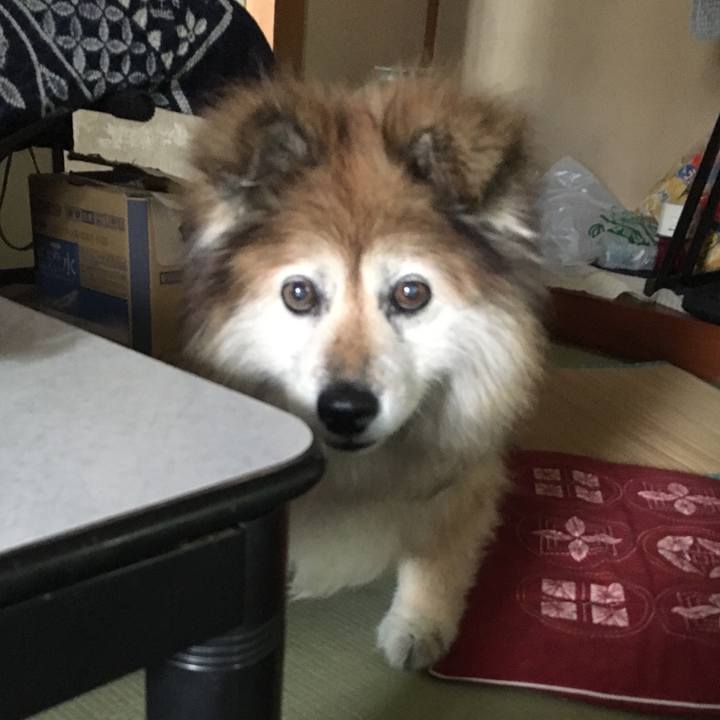 6aa8519d f669 41ef a3be c72e2b955ed6 1566248582488