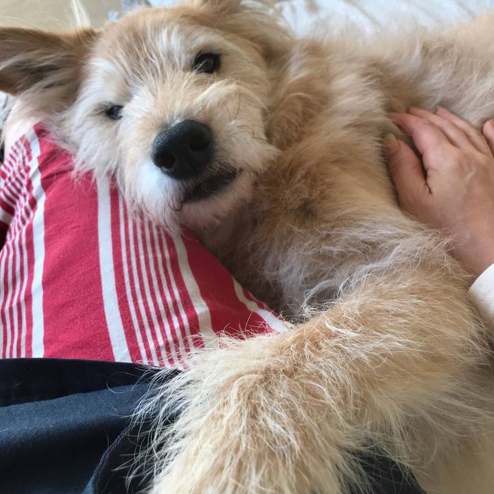 6aa85434 5bf2 46ec b2d2 cde101afe292 1587377678849