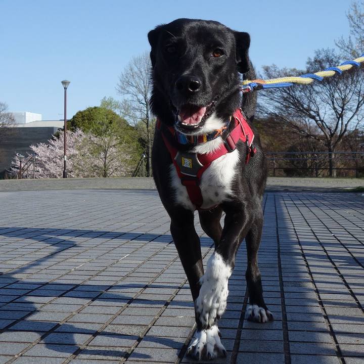 6aa85e7c eaae 407f 9f2e dd50b49dfb64 1585788622908