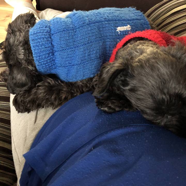 6aa8601d 3c4a 4a50 9df9 3ec144e518ad 1575851057808