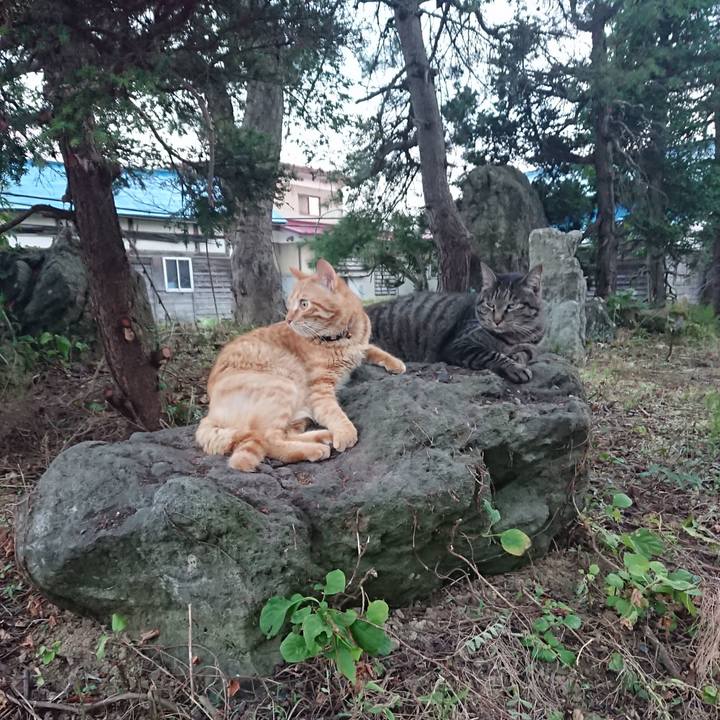 6aa87b57 8d57 4e91 9f87 61c40d6c6f99 1659001971296