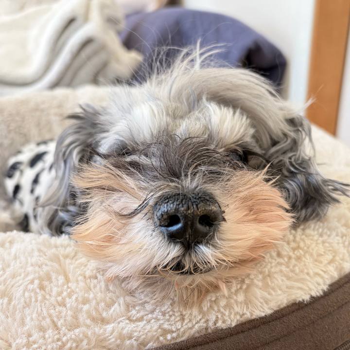 6aa87c38 3986 40ba 90a4 b7aaa58d0189 1765333297205