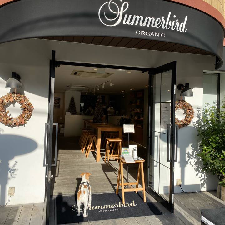 6aa89aaf d446 4c4a 8556 a628c9dbe0ca 1638269307966