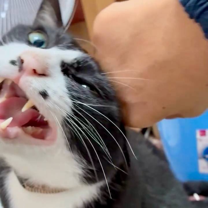 6aa89d9c 98ca 4918 a7e3 932ab4118eff 1751853507151