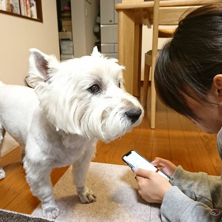 6aa8ceac 0be6 46fc 872f a7fc8bcfac02 1527765125153