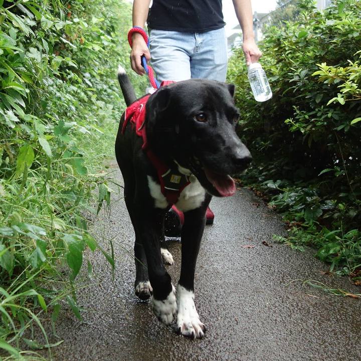 6aa90ec3 c412 4db5 b649 32e02a03535b 1598487498020