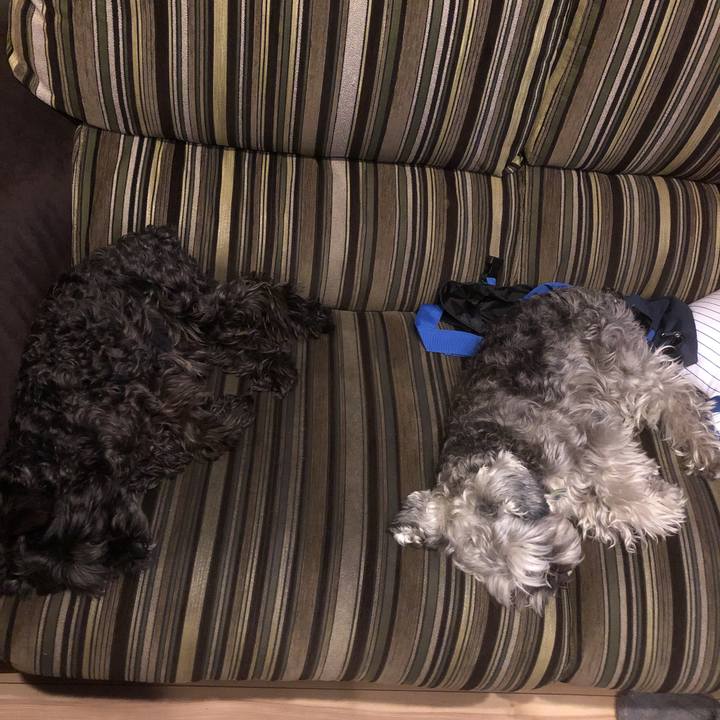 6aa91bad c426 4f60 a530 1c7b10cc593d 1557138180316