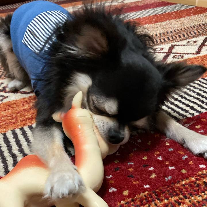 6aa91d11 ee40 4272 83e4 87aee9dcae7b 1677163109382