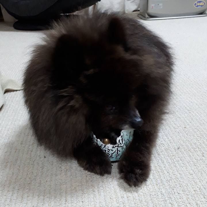 6aa928a0 3eb7 41c1 bb14 aedc74640b8d 1522099580839