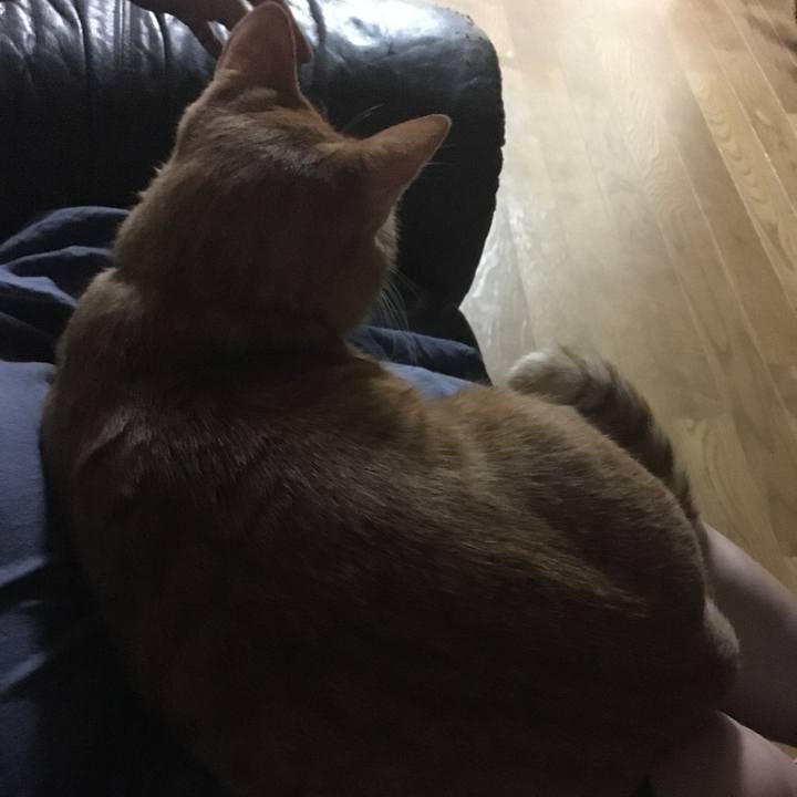 6aa92fa1 8afc 48c1 9d0e 220fa355b14d 1535024838199